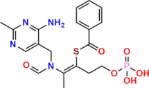 SciatiSoothe